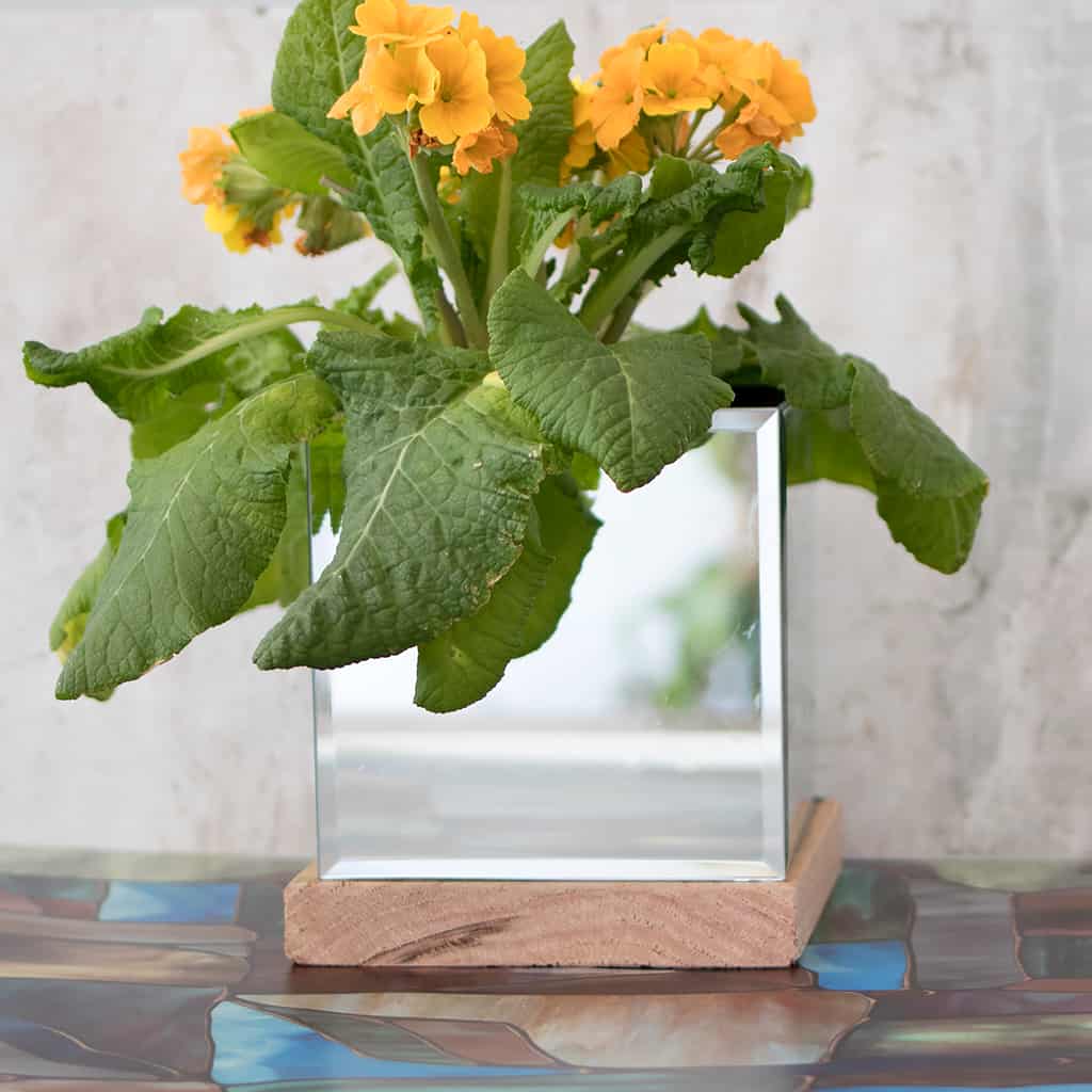 Mirror Planter DIY