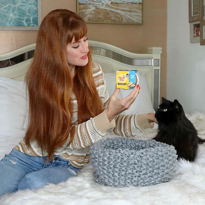 Easy Cat Bed Knitting Pattern