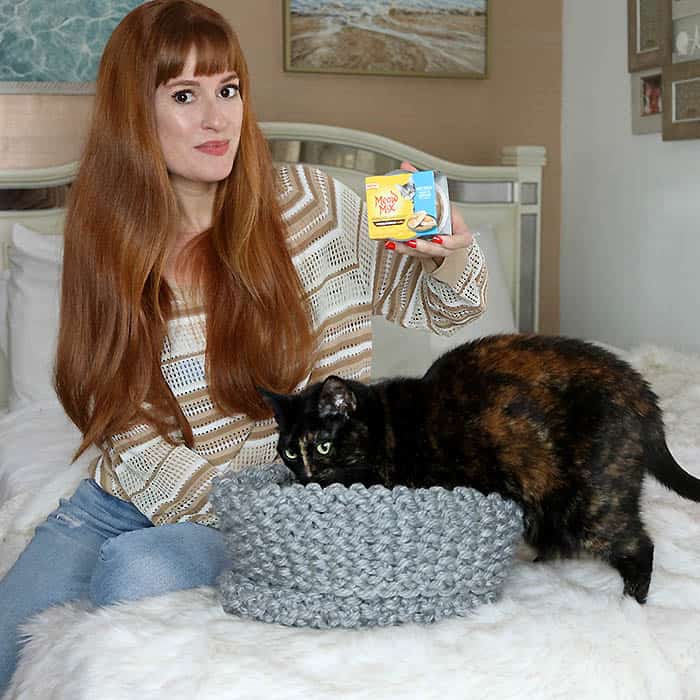 Easy Cat Bed Free Knitting Pattern 