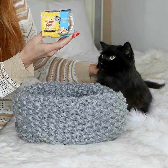 Easy Cat Bed Knitting Pattern