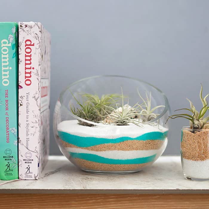 Sand Art Terrarium DIY plus How to Care for Air Plants