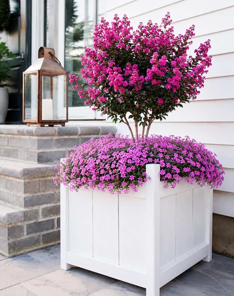 DIY Outdoor Planter Box (Easy Wooden Planter Tutorial)
