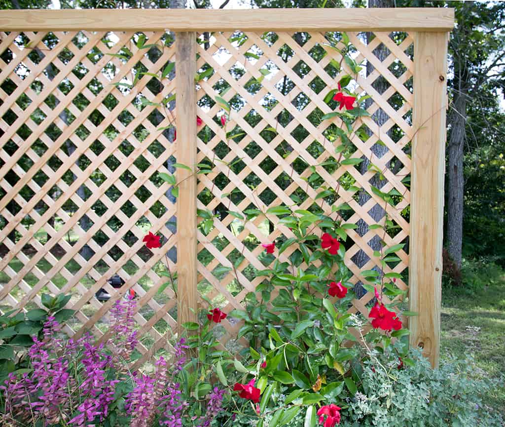 Privacy Screen Planter DIY