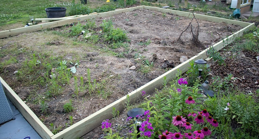 All About Raised-Bed Gardens - This Old House