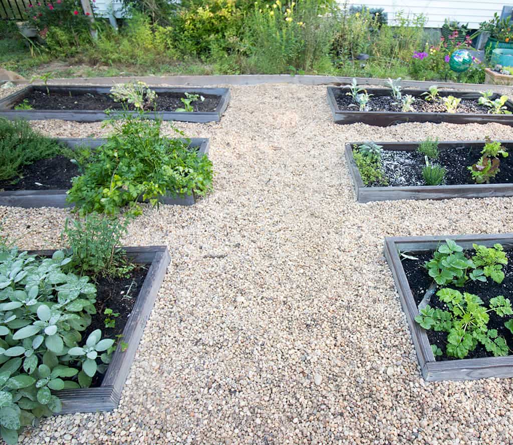 Raised Vegetable Garden with Pea Gravel DIY