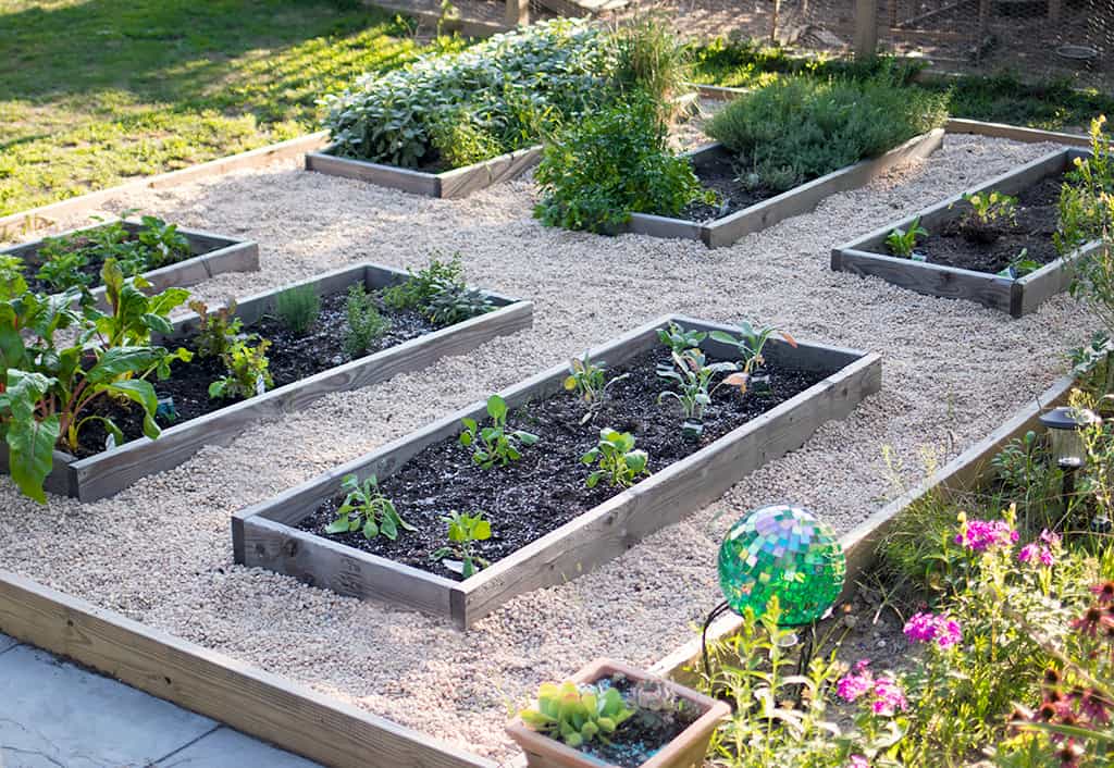 Raised Vegetable Garden with Pea Gravel DIY