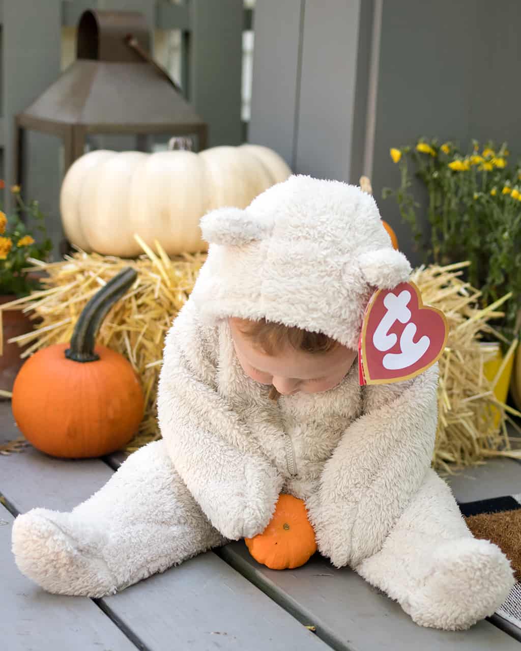 Beanie Baby Costume DIY