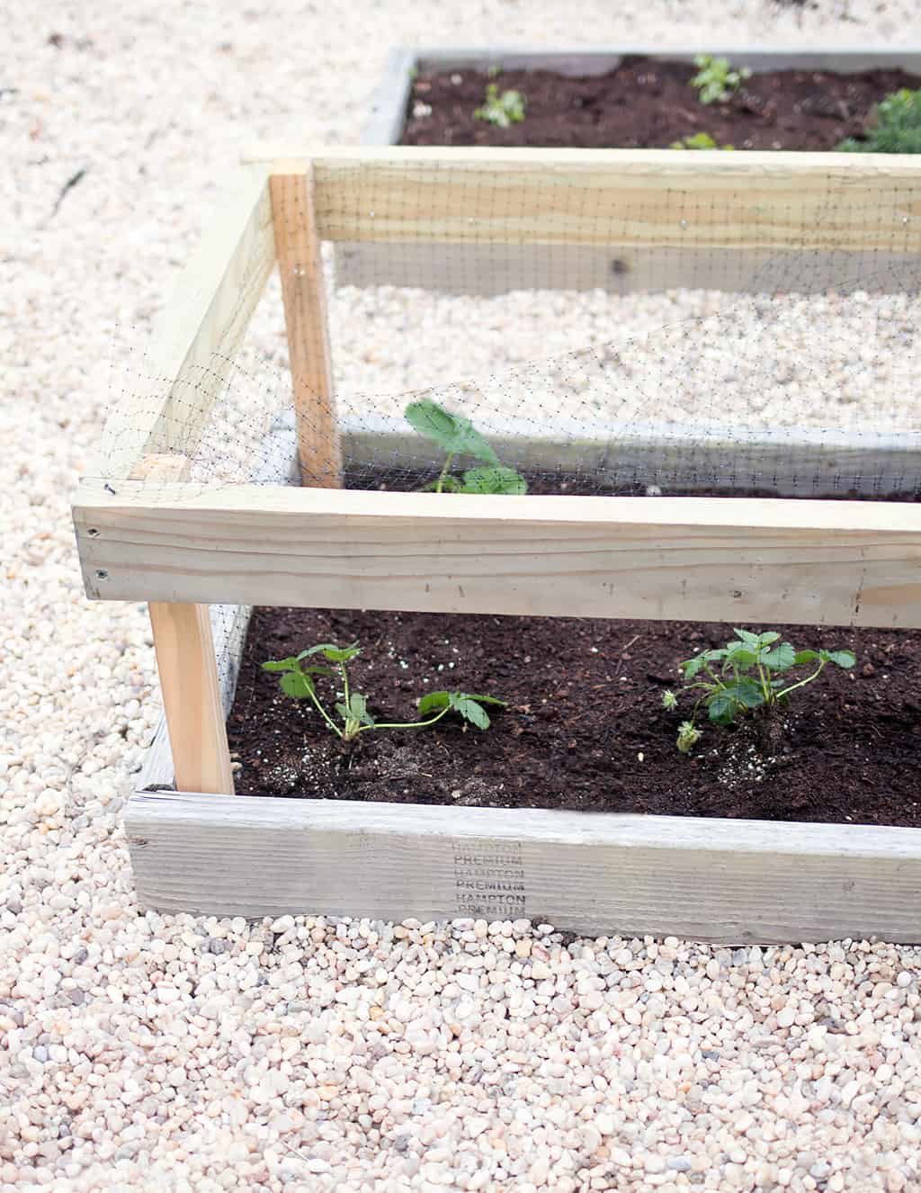 DIY Raised Garden Bed Cover