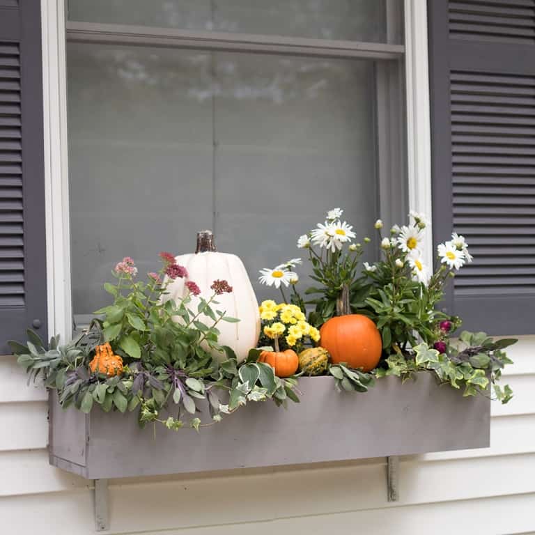 My Easy Fall Window Boxes