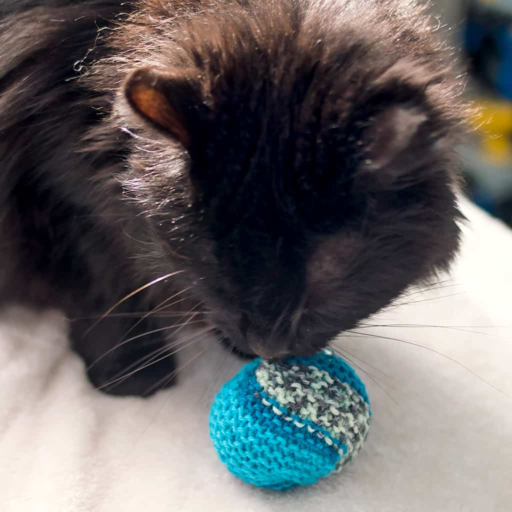 Easy Cat Toy Knitting Pattern
