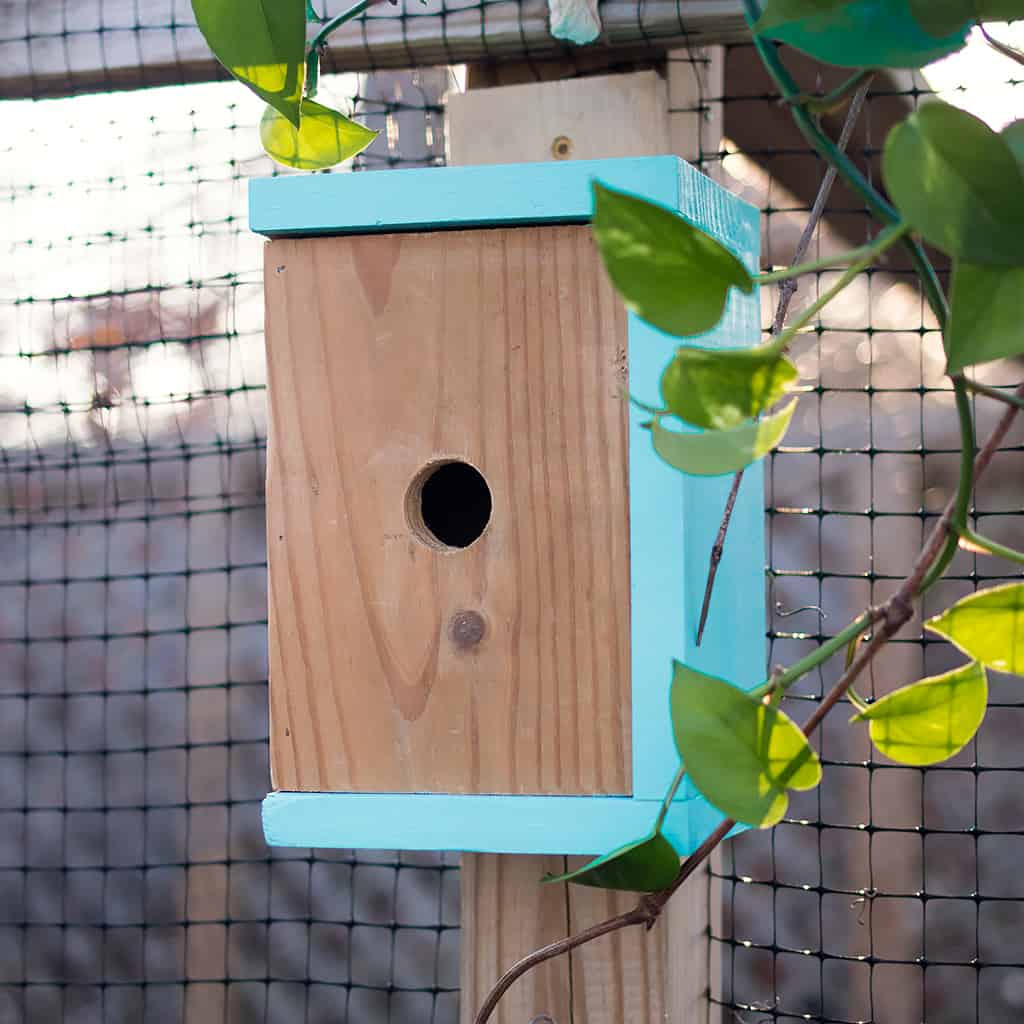 How to Build an Easy Modern Birdhouse