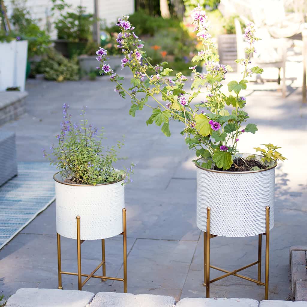 Spring Patio Refresh with Wayfair