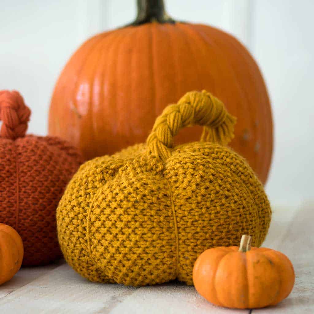 Seed Stitch Pumpkins Knitting Pattern