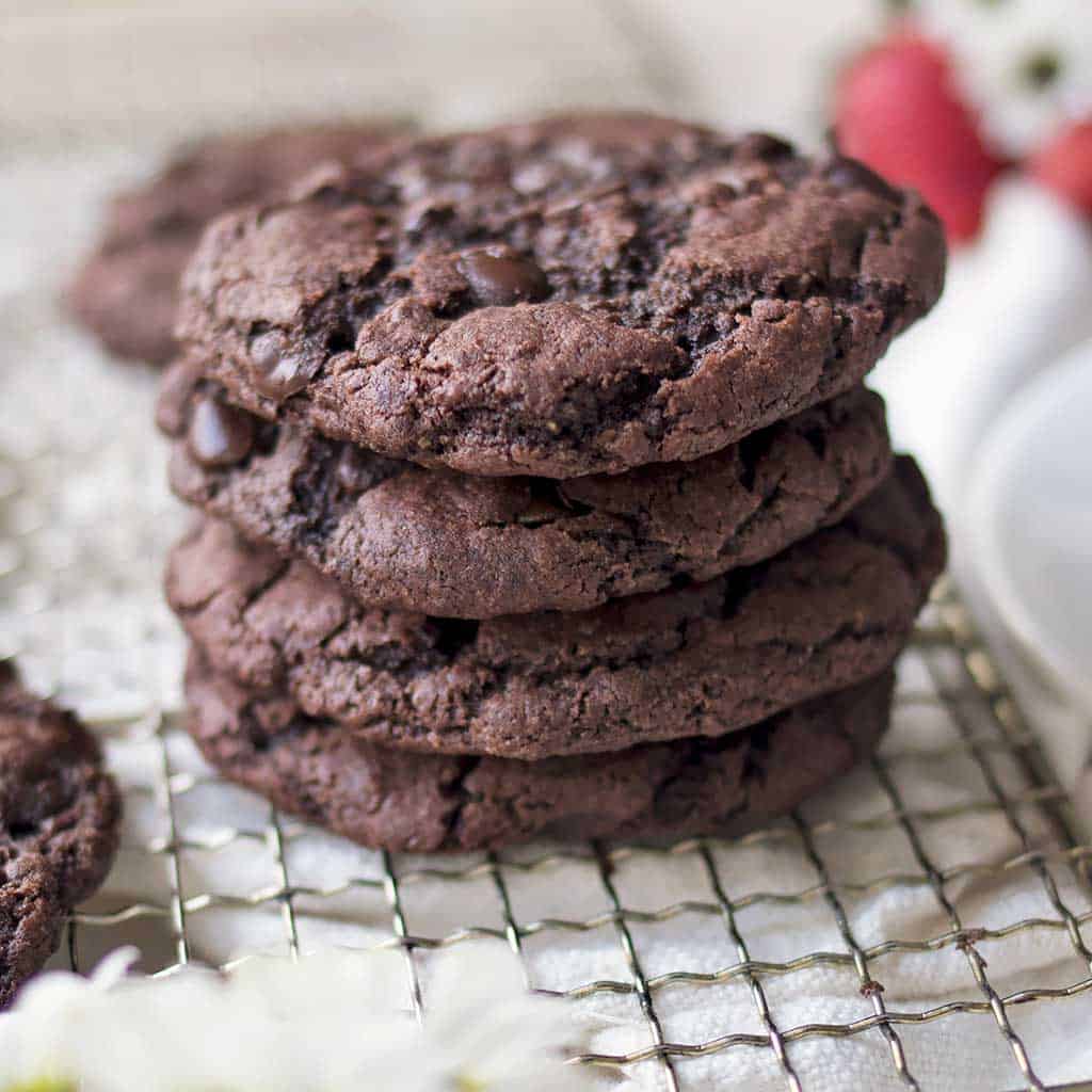 1 Bowl Vegan Double Chocolate Chip Cookies