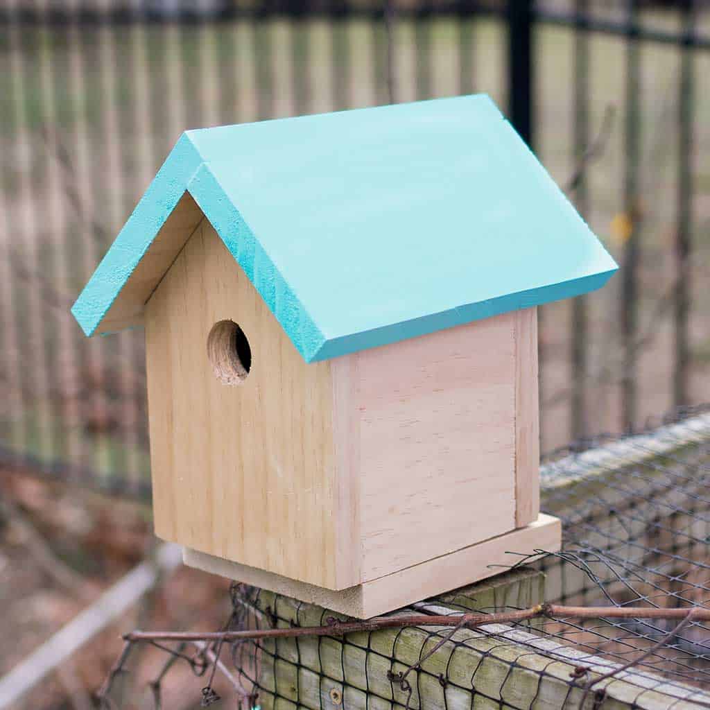 How to Build a Beginner Bird House