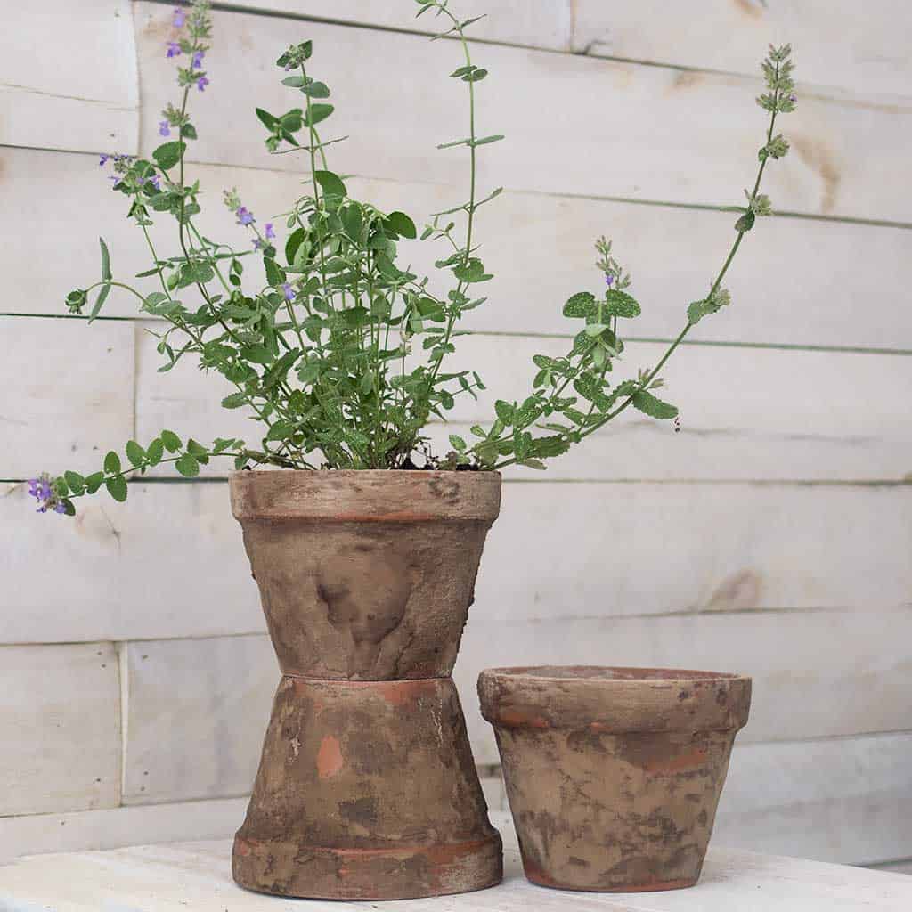 Fast Way to Age Terra Cotta Pots