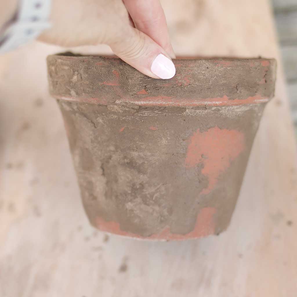 Fast Way to Age Terra Cotta Pots