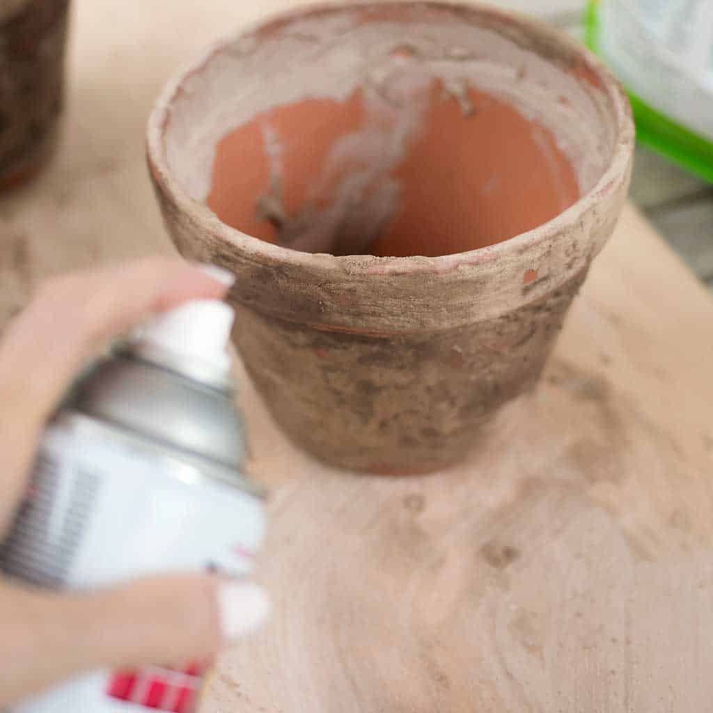 Fast Way to Age Terra Cotta Pots