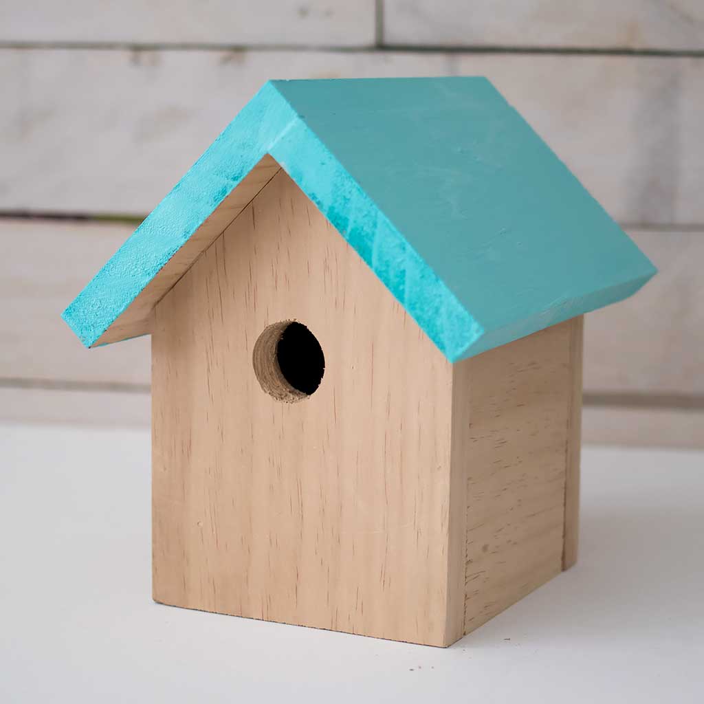 How to Build a Beginner Bird House