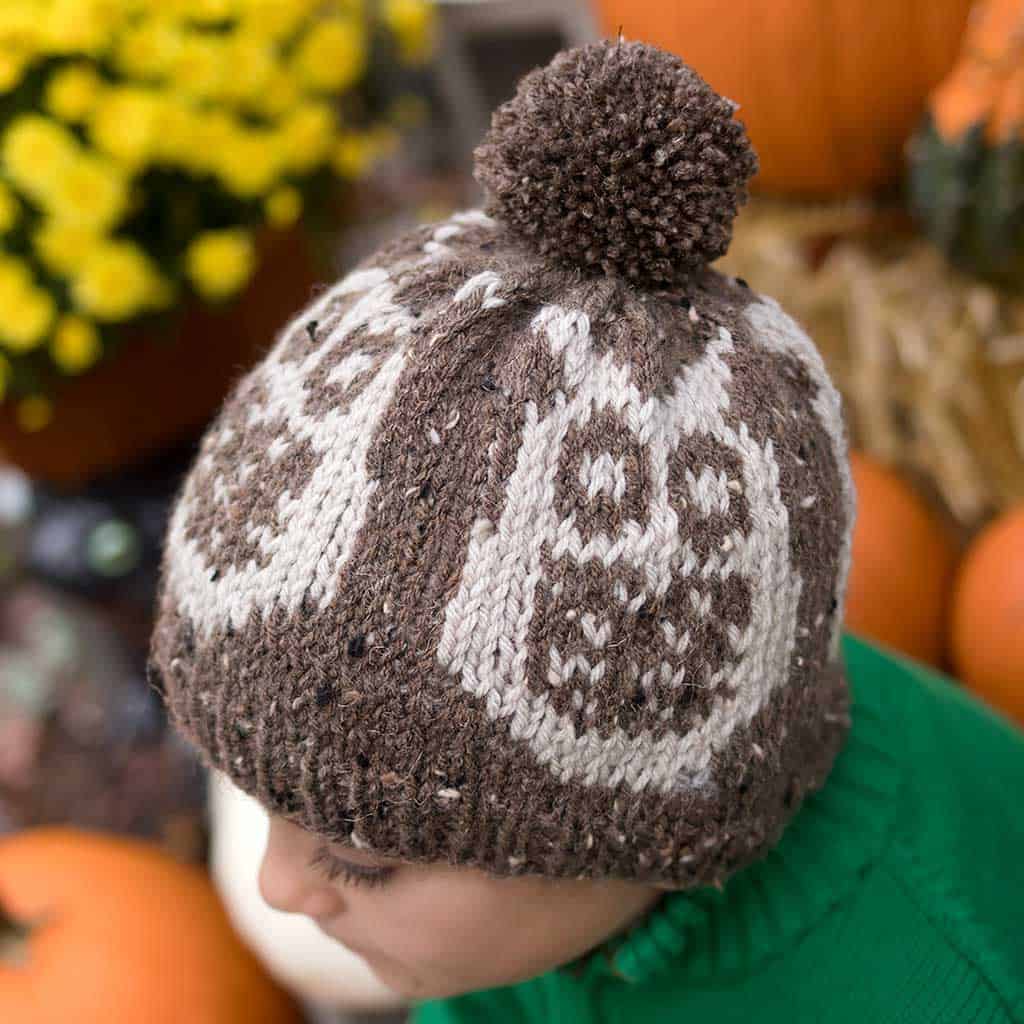 Colorwork Owl Hat Knitting Pattern
