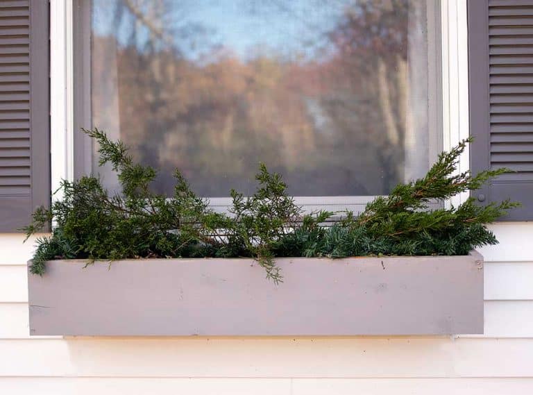 How to Make an Inexpensive Christmas Window Box