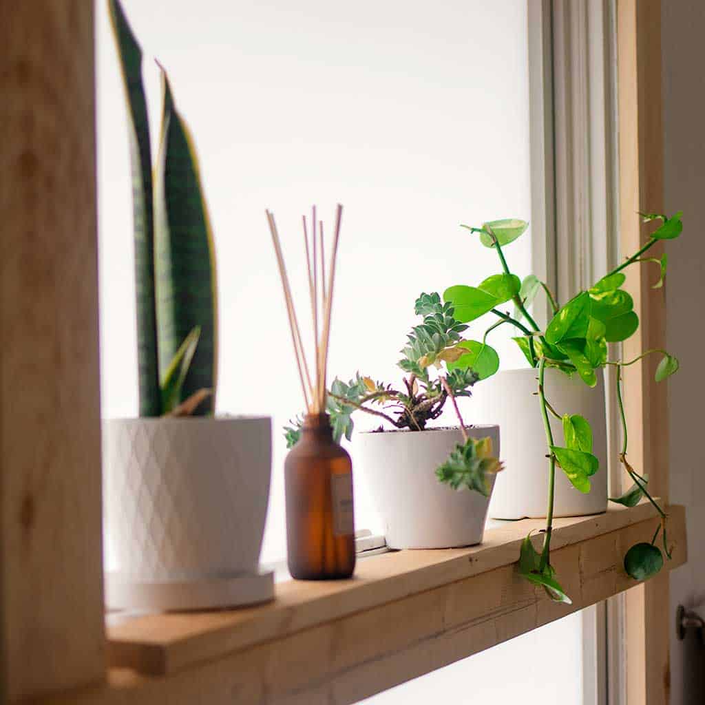 DIY Craftsman Trim with Plant Shelf
