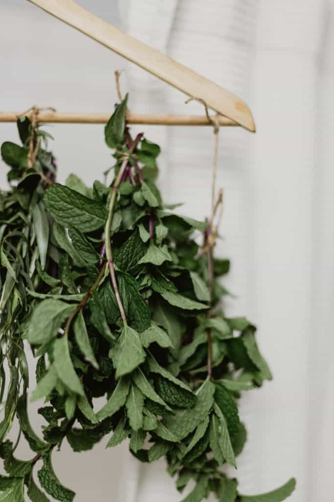 How to Dry Fresh Herbs for Spices