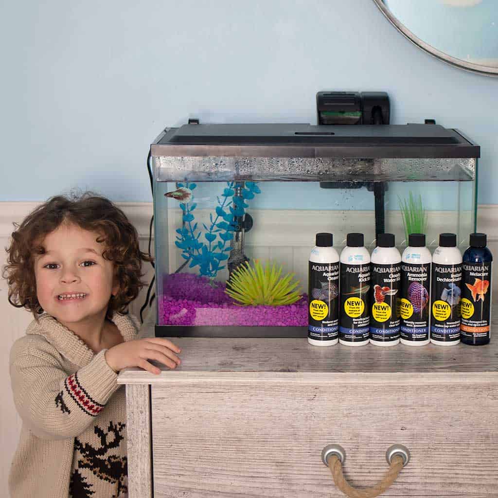 6 Essential Products for Your Fish Tank