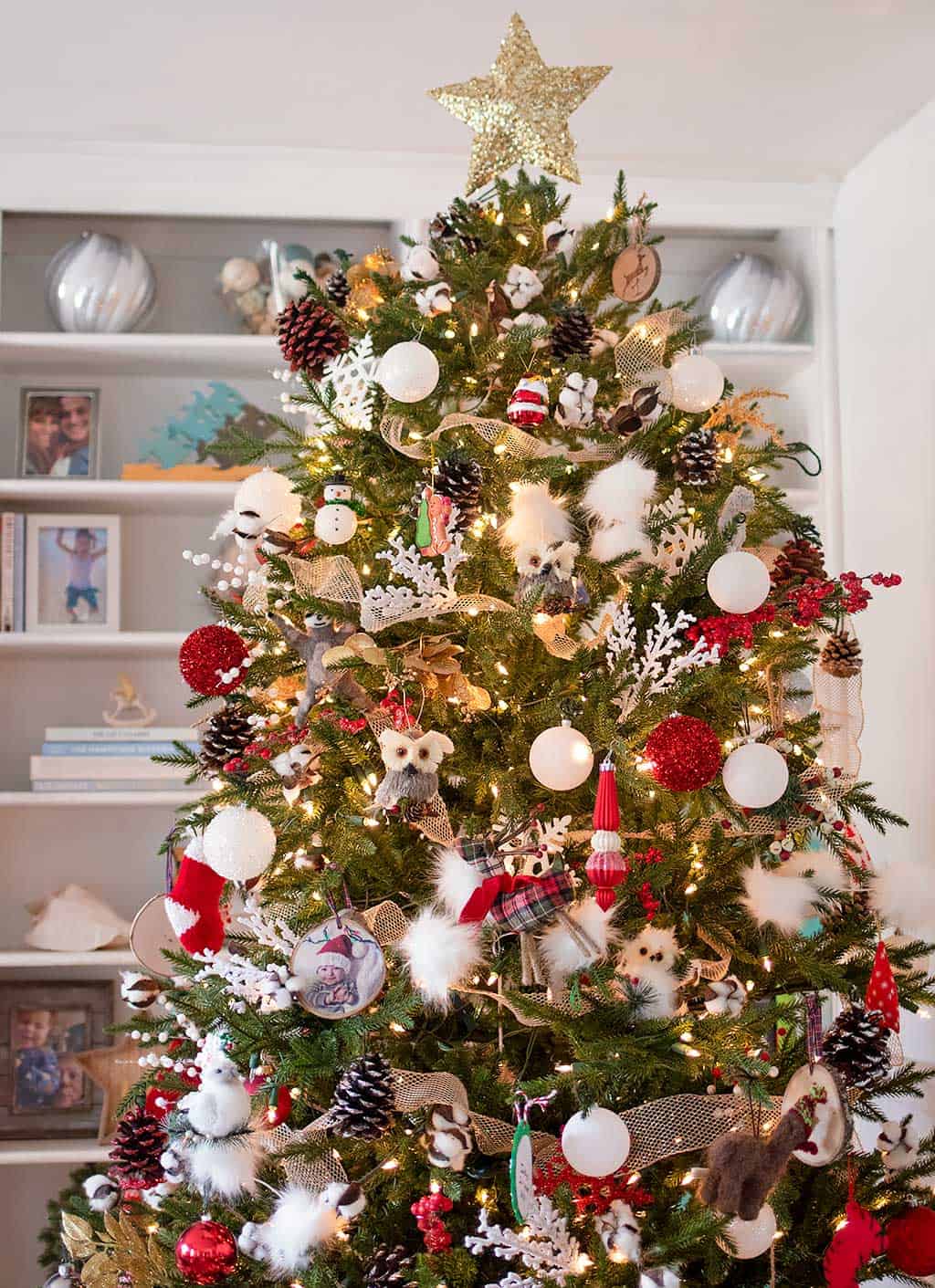 A Guide to Decorating Your Best Christmas Tree