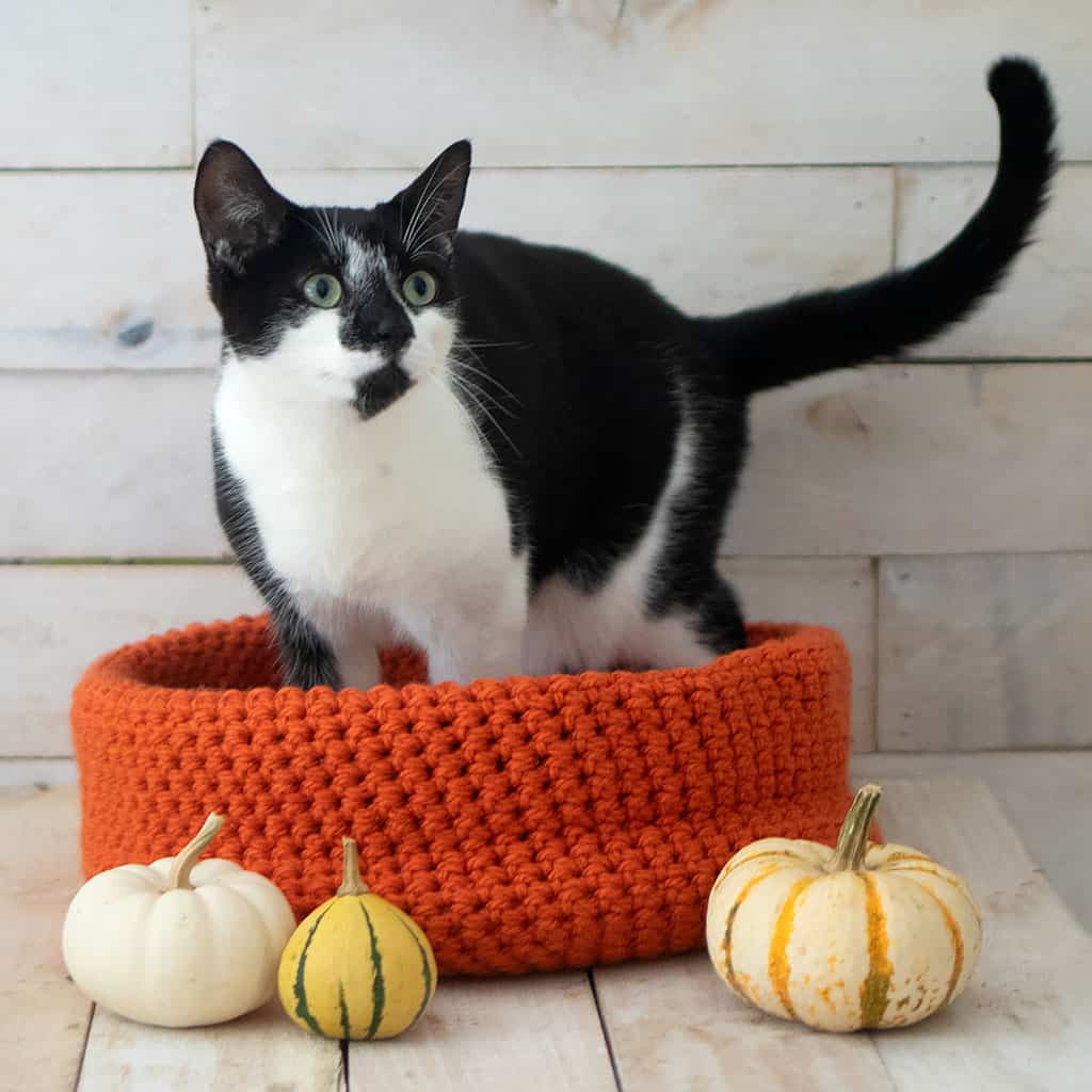 Easy Cat Bed Crochet Pattern