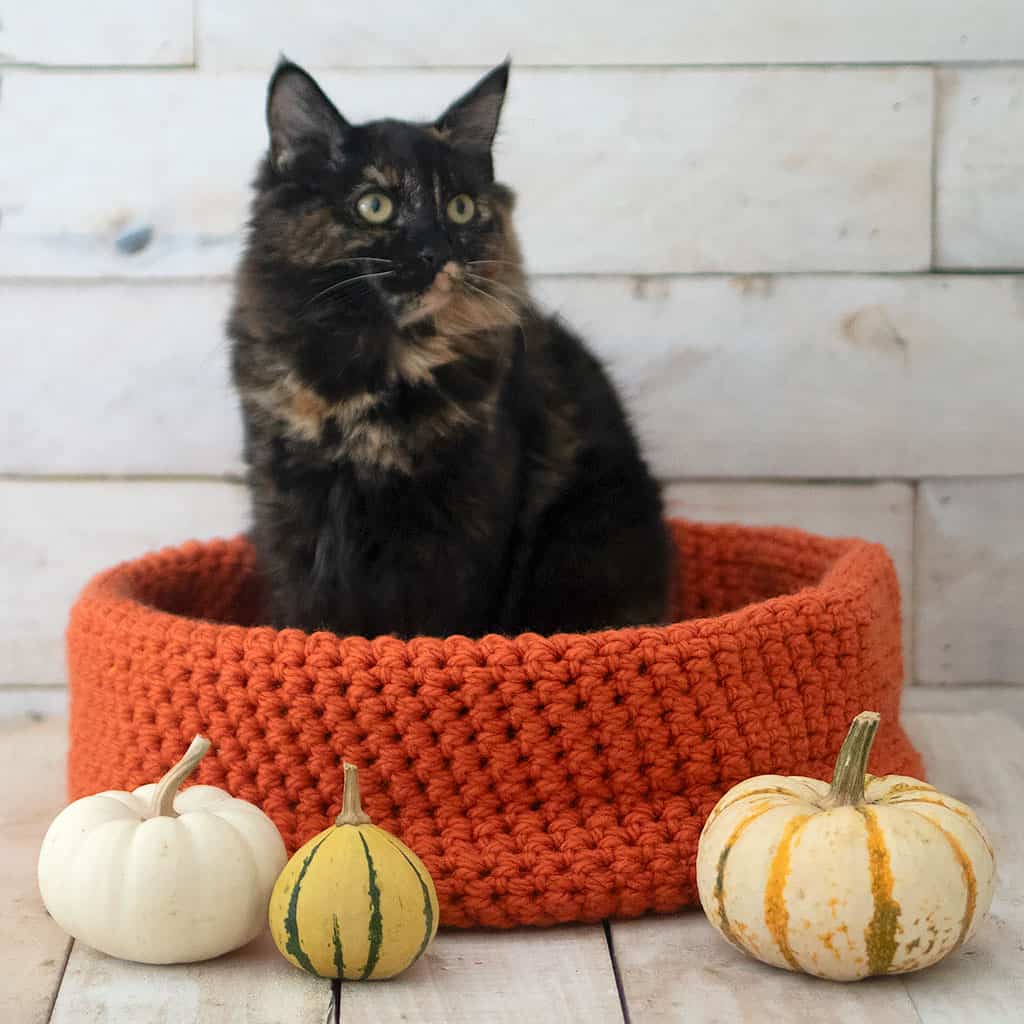 9 Free Fall Decor Crochet Patterns