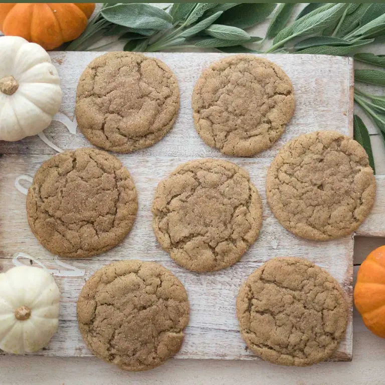 Vegan Pumpkin Spice Snickerdoodles