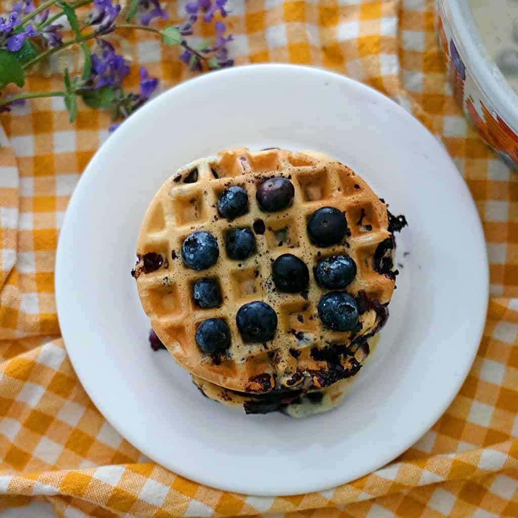 Best Vegan Blueberry Waffles