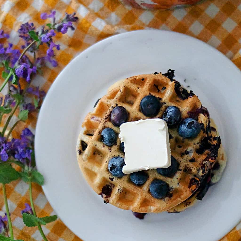 Best Vegan Blueberry Waffles